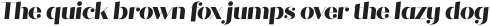 Quiche Stencil ExtraBold Italic otf (700)