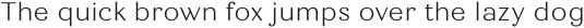 Quiche Text Light otf (300)