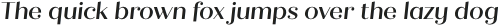Quiche Display Medium Italic otf (500)