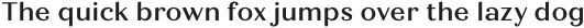 Quiche Text Medium otf (500)