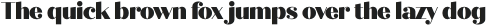 Quiche Display Black otf (900)