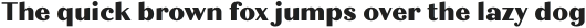 Quiche Text ExtraBold otf (700)