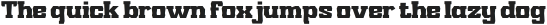 YoungRIEHUM-Regular otf (400)