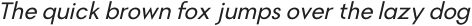 Magnify Light Italic ttf (300)