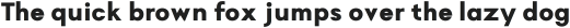Magnify Bold ttf (700)