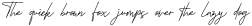 Manly Manchester Script otf (400)