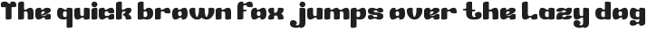 The Sign Bold otf (700)
