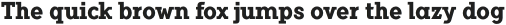 Flamante Serif Bold otf (700)