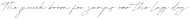 Rasty Script Regular otf (400)