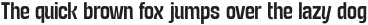 TURNKEY CONDENSED Medium otf (500)