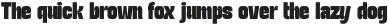 TURNKEY CONDENSED Black otf (900)