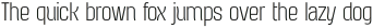 TURNKEY CONDENSED Thin otf (100)