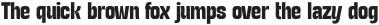 TURNKEYCONDENSED-Bold otf (700)