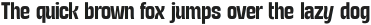TURNKEY CONDENSED Semi Bold otf (600)