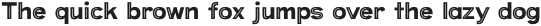Provoke Partial-Inline-Thin otf (100)