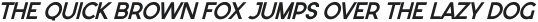 Serifora Sans Serif Italic otf (400)