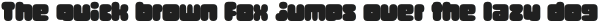 Round Technocrat Black otf (900)