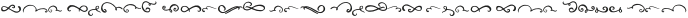 Butller dingbat otf (400)