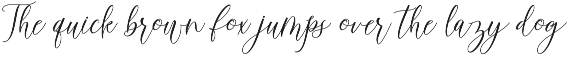 Wellyfitts preview