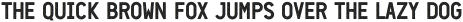 Neozoic Textured otf (400)
