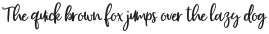 Monstterday Script otf (400)