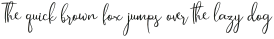 Husterdun Script Regular otf (400)