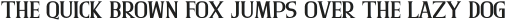 Husterdun Serif Regular otf (400)
