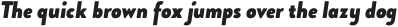 Brooklyn Heritage Sans Cn Black Italic otf (900)