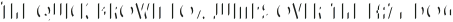 Adelios Highlight otf (300)
