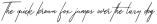 Zattoya Signature otf (400)