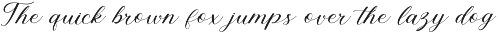 Vedacity - A Beautiful Script font preview