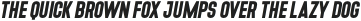 Denso Light Italic otf (300)