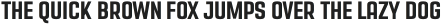 Redius Bold otf (700)