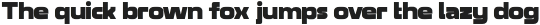 SK Clumster Sans Black otf (900)
