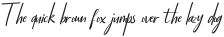 Sofiebestin Italic_Alternate_2 otf (400)