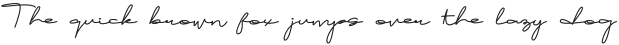 Brownie Script Alt otf (400)