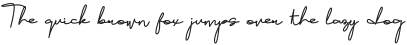 Brownie Script otf (400)