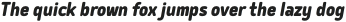 Delm ExtraBold Italic otf (700)