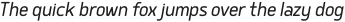 SemiLight Italic otf (300)
