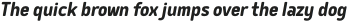 Delm Bold Italic otf (700)
