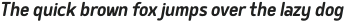 Delm Medium Italic otf (500)