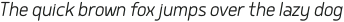 Delm Light Italic otf (300)