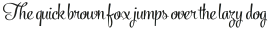 Powder Script Regular Reg