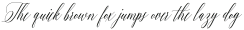 Barracuda Script otf (400)