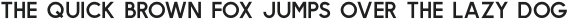 Jolly SanSerif Thin otf (100)