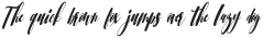 Srikonitta Script One_Slant ttf (400)