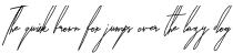 AndaloSignature Regular otf (400)