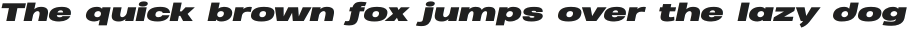 Heading Pro Ultra Wide Black Italic otf (900)