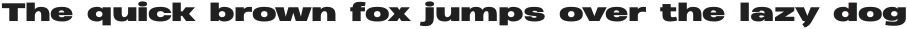 Heading Pro Ultra Wide Black otf (900)