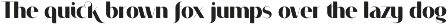 VOGUER Sans family preview